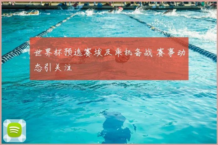 世界杯预选赛埃及乘机备战 赛事动态引关注