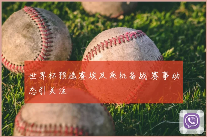 世界杯预选赛埃及乘机备战 赛事动态引关注