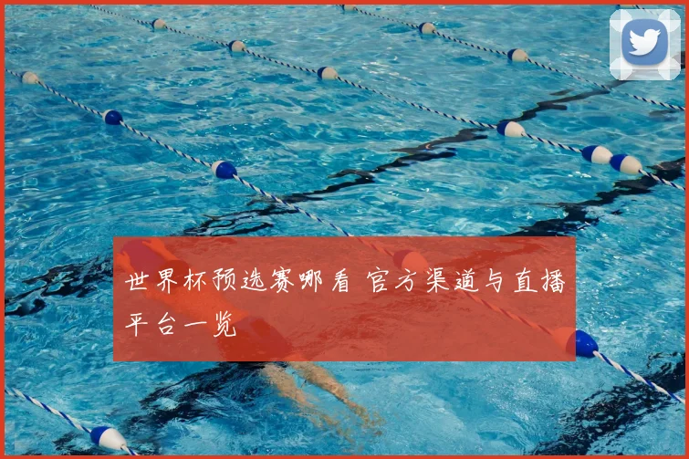 世界杯预选赛哪看 官方渠道与直播平台一览